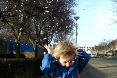 benjamin-gooit-blaadjes-IMG_20130421_195153