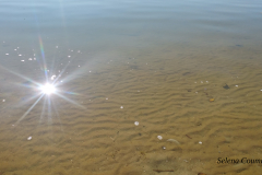 Zonlicht weerspiegeling Meer met watermerk 20170923_112816_HDR.resized