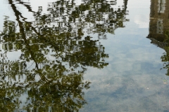 weerspiegeling-boom-in-water