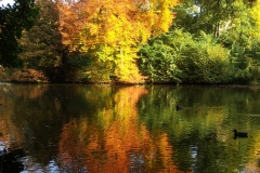 2012-10-21 15.44.17
