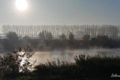 Maas-mist-20201105_092002_HDR_Signature