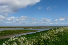 P1210323